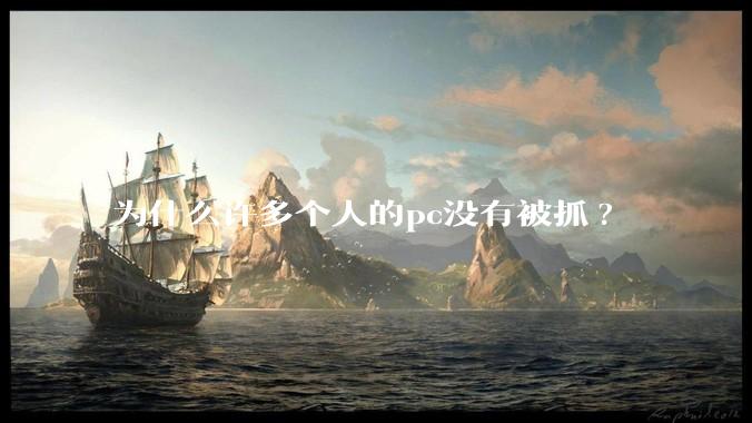 为什么许多个人的pc没有被抓?